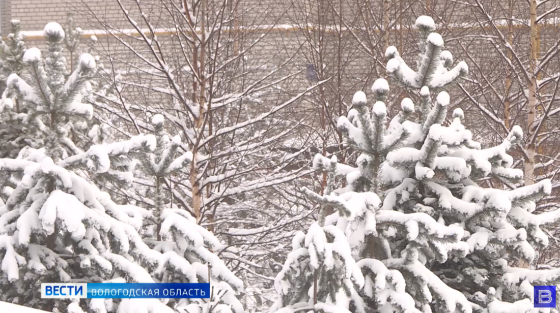 Долгожданное похолодание придёт в Вологодскую область в феврале