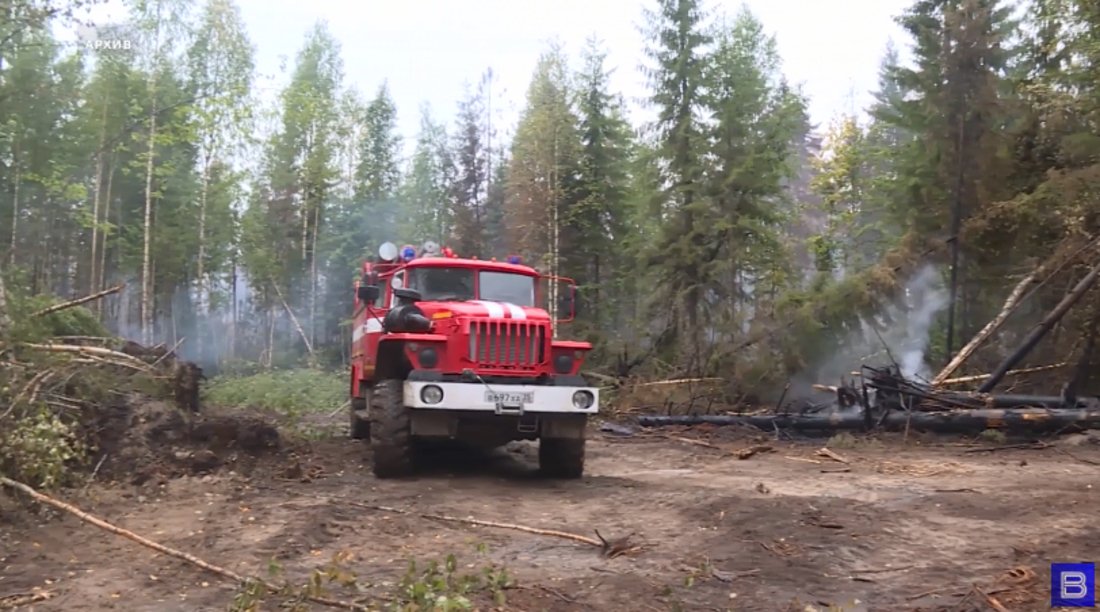 Пожароопасный сезон официально завершился в Вологодской области
