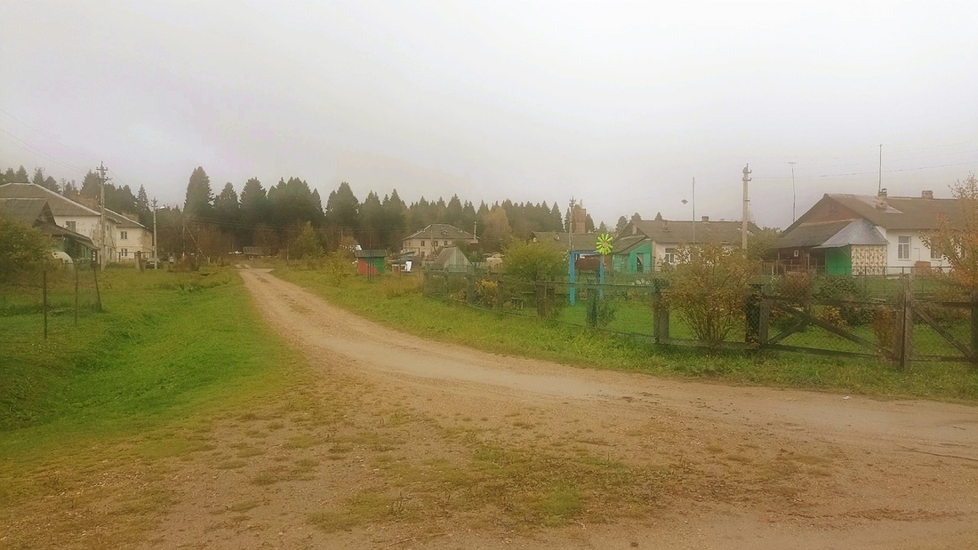 Часть посёлка под Шексной осталась без водоснабжения из-за пересохшей скважины