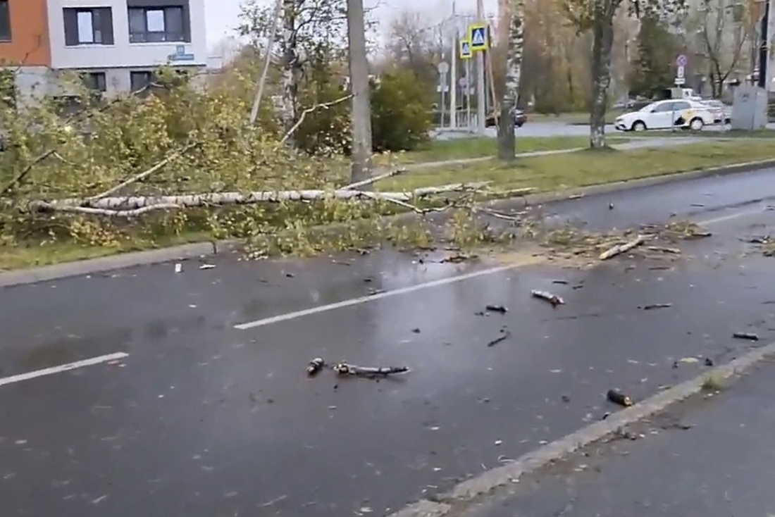 Сильный ветер оставил без света ряд деревень Череповецкого района