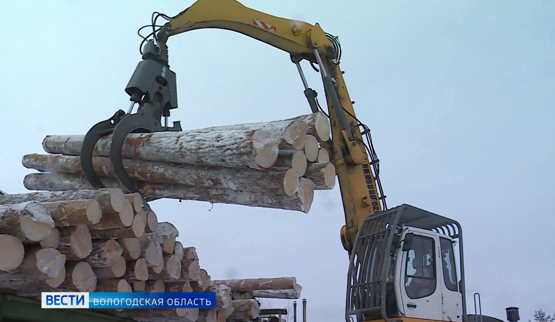 Вологодские лесопромышленники возобновили работу во время карантина