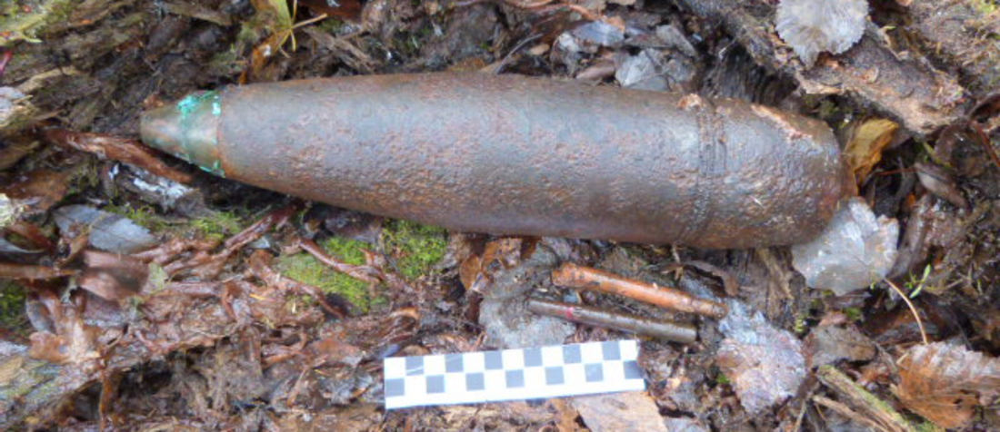 Эхо войны: боеприпасы взорвали в лесу под Вытегрой