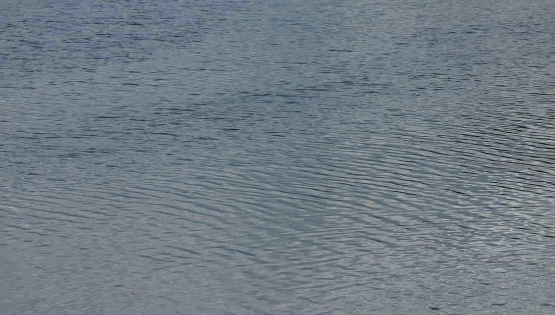 На берегу Кубенского озера обнаружено тело ещё одного рыбака