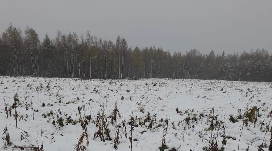 Тропы и лыжни здоровья появятся во всех районах Вологодской области 