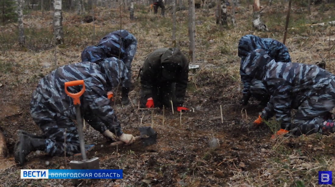 В Вологодской области ищут родственников погибшего красноармейца