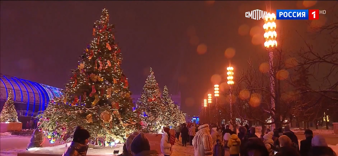 Дед Мороз из Великого Устюга объявил о старте зимнего сезона на выставке «Россия»