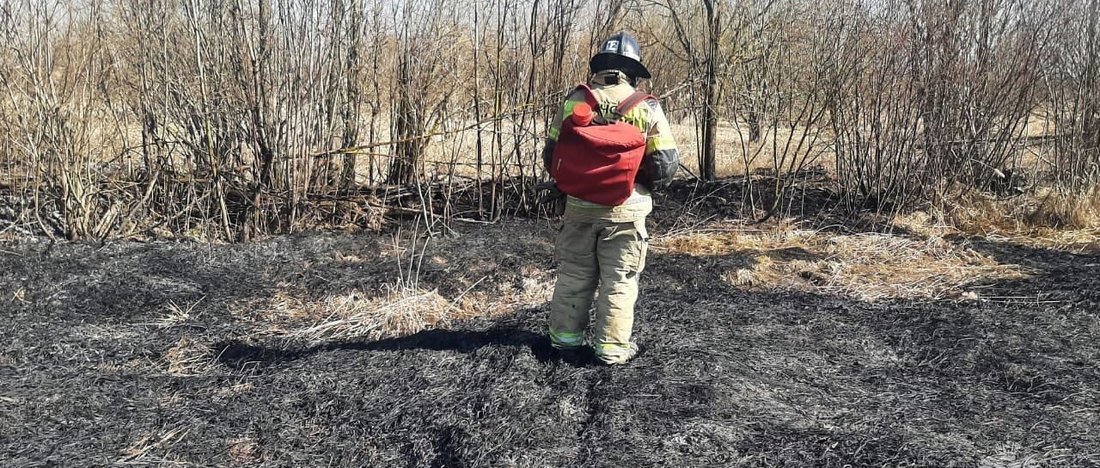 Хозпостройка едва не сгорела из-за крупного пала травы в Устюженском районе