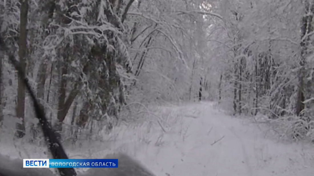 Зимний учёт животных стартовал в Вологодской области