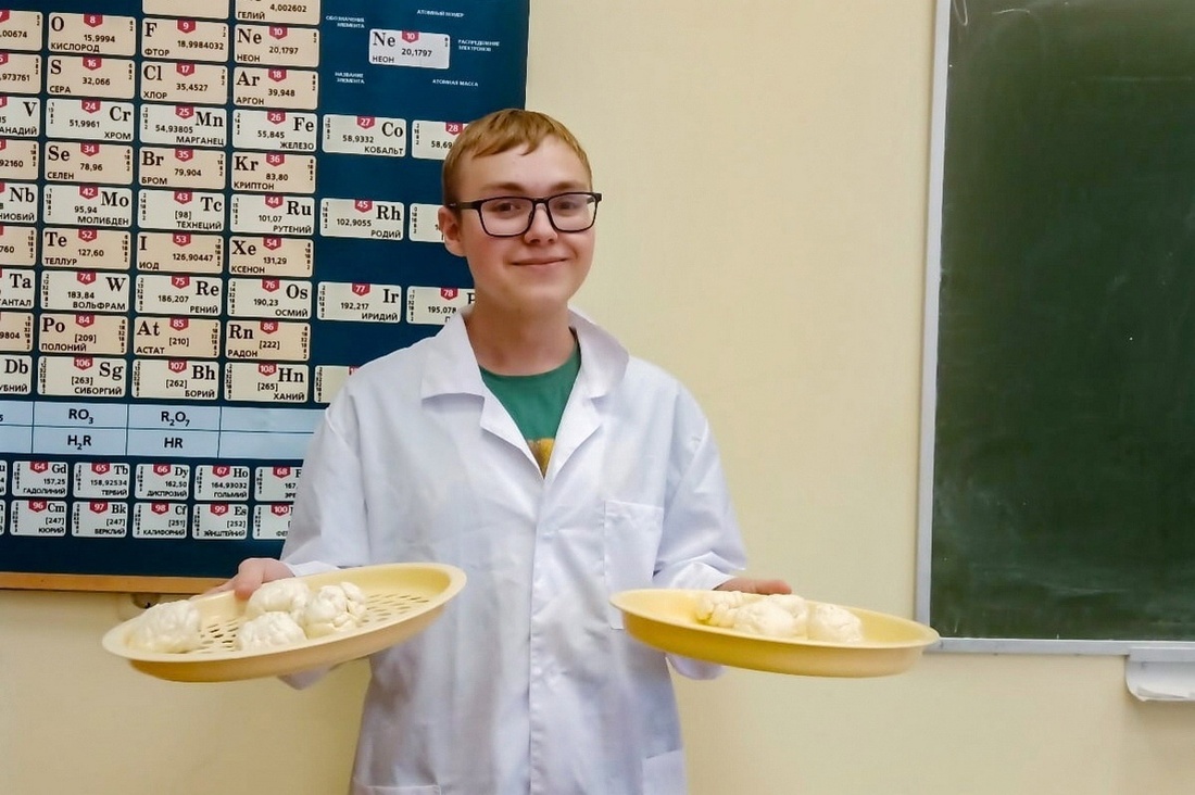 Полезный сыр для сердца изобрёл и запатентовал студент Вологодской ГМХА