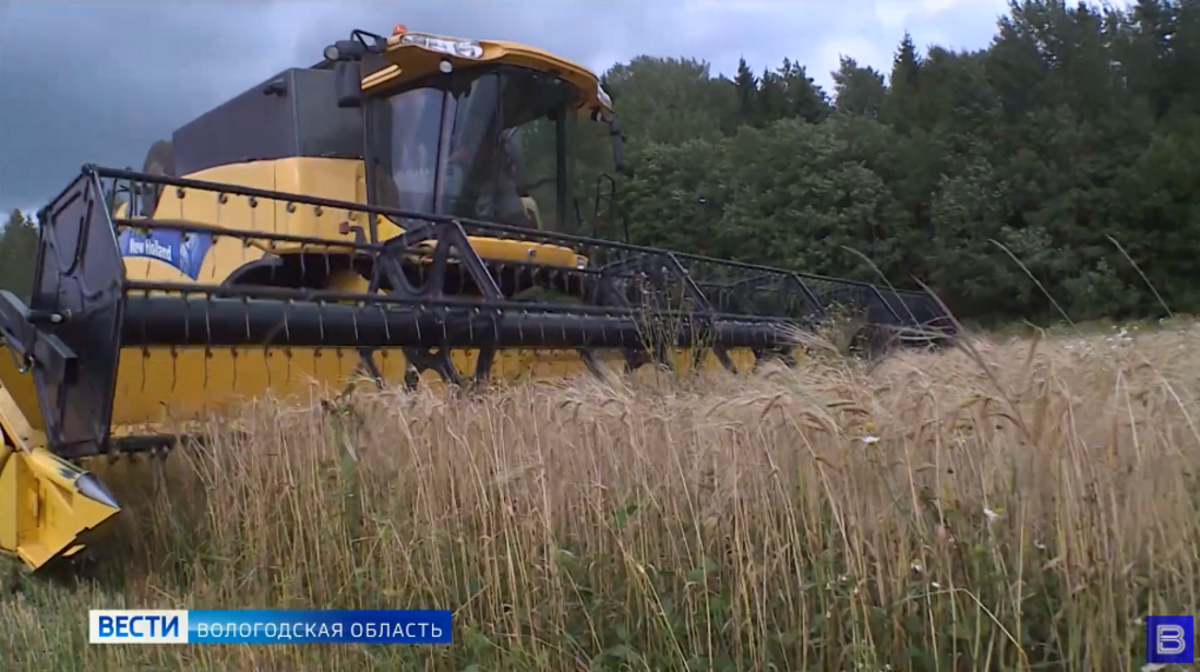 Сельскохозяйственная микроперепись началась в Вологодской области