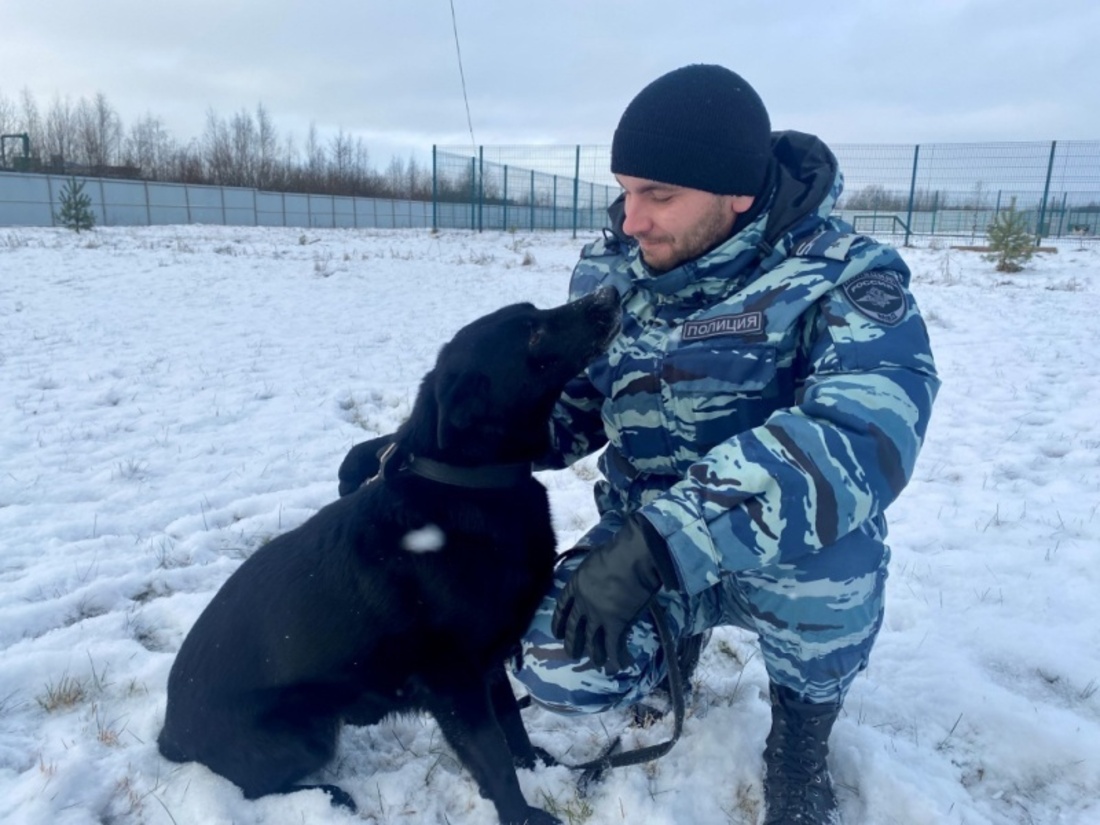 Потерявшуюся 90-летнюю пенсионерку разыскал кинолог с собакой в Вологде