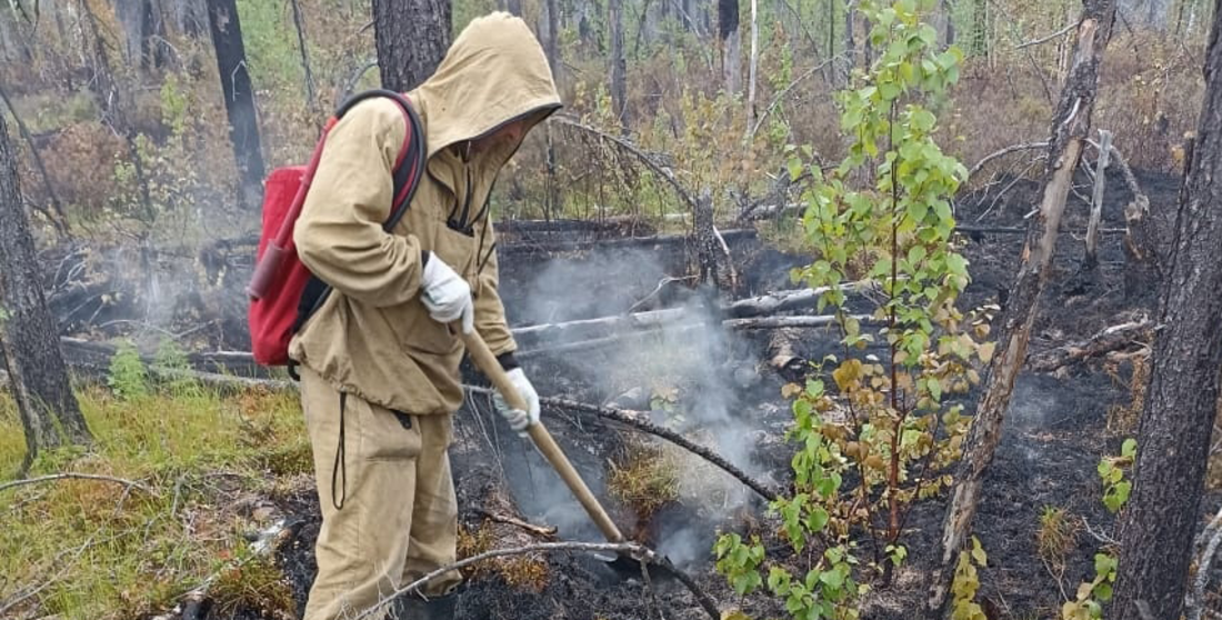 Начало пожароопасного сезона спрогнозировано в Вологодской области