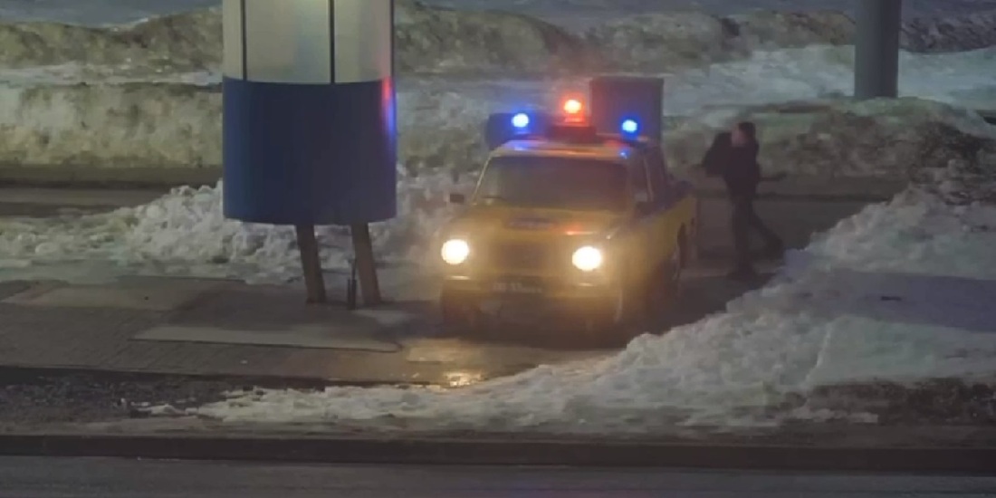 Правоохранители задержали вандала, испортившего арт-объект в Череповце