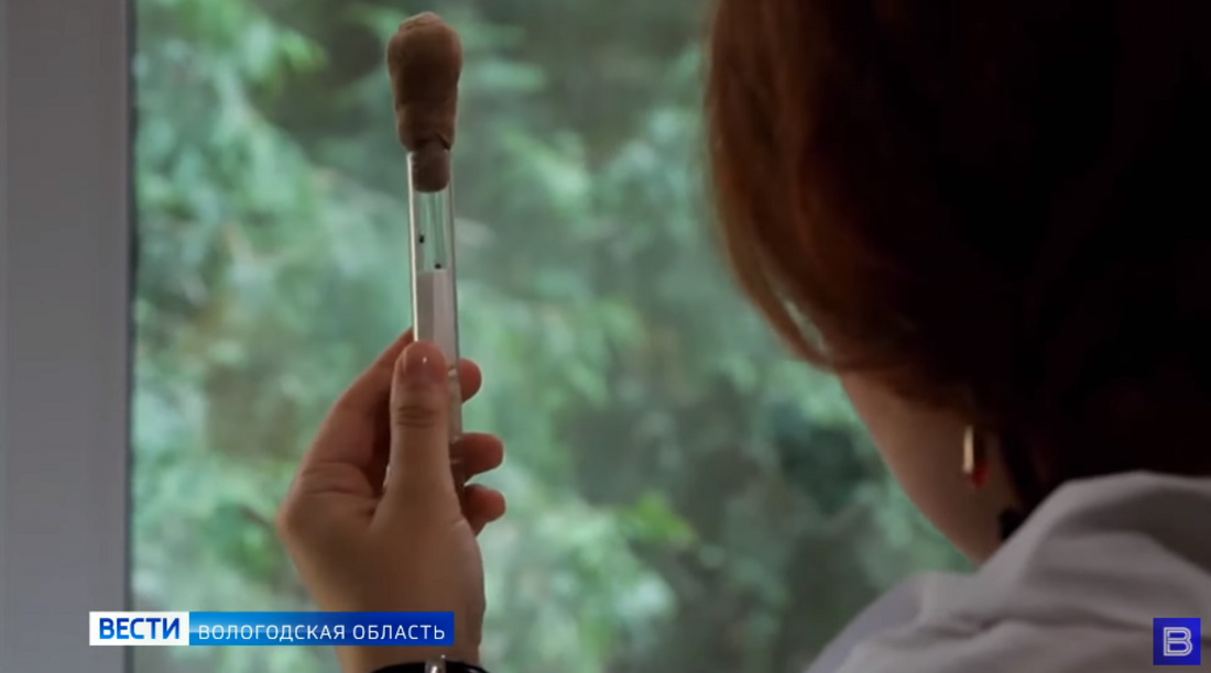 Первый случай укуса клеща зафиксирован в Вологодской области