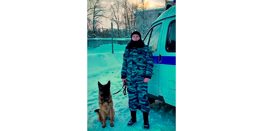 История со счастливым концом: кинолог и его собака спасли 12-летнюю жительницу Череповца