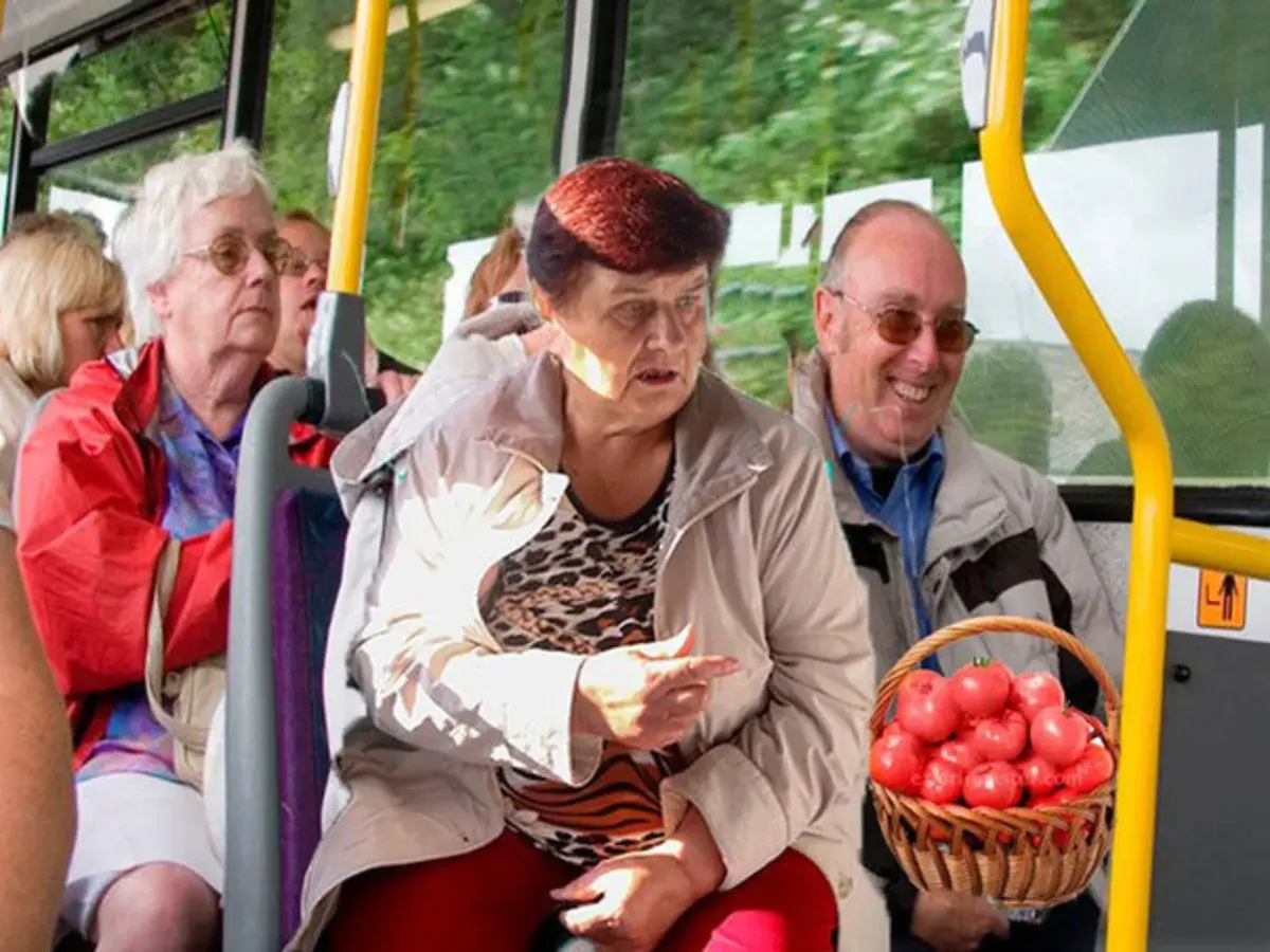 Социальный проезд в общественном транспорте. Бабушки в автобусе на дачу. Пенсионеры в автобусе. Авто дачника. Бабушка с рассадой в автобусе.