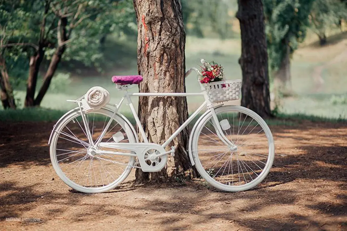 Вело лов. Велосипед с корзиной цветов. Фотозона с велосипедом. Фотозона с велосипедом и цветами. Белый велосипед с цветами.