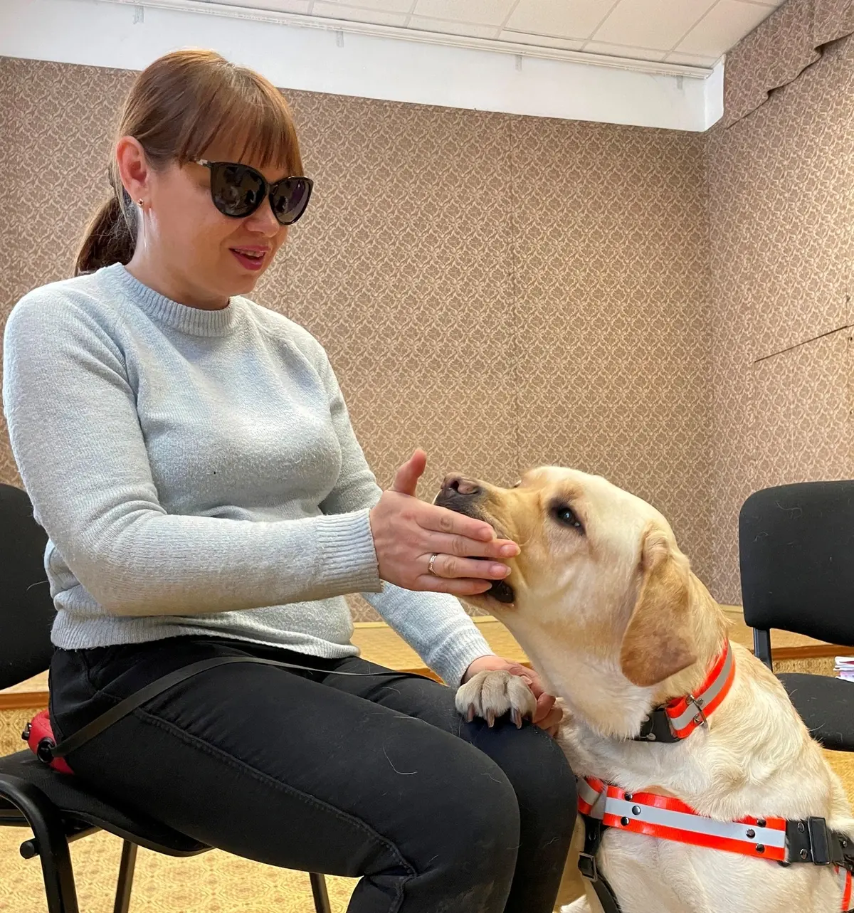 Собаки-поводыри для незрячих в Ивановской области: больше чем средство реабилитации