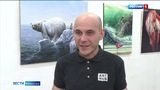 Мир животных – в полотнах художников. Выставку в жанре анималистика организовали в Иванове