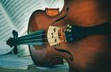 В Плесе откроется выставка в честь всемирно известного виолончелиста и дирижера