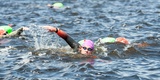 В Ивановской области пройдут соревнования по плаванию на открытой воде "Swimcup – Волга"