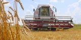 В Ивановской области собрали около 28 тысяч тонн зерна