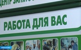 В Иванове назвали долю трудоустраивающих подростков компаний
