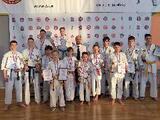 Кинешемские каратисты завоевали 26 медалей на турнире по киокусинкай карате
