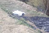 Пожарные нашли тело мужчины во время тушения сухой травы в Ивановской области